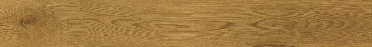 AL88 Exence Amber 150x18,5 Atlas Concorde