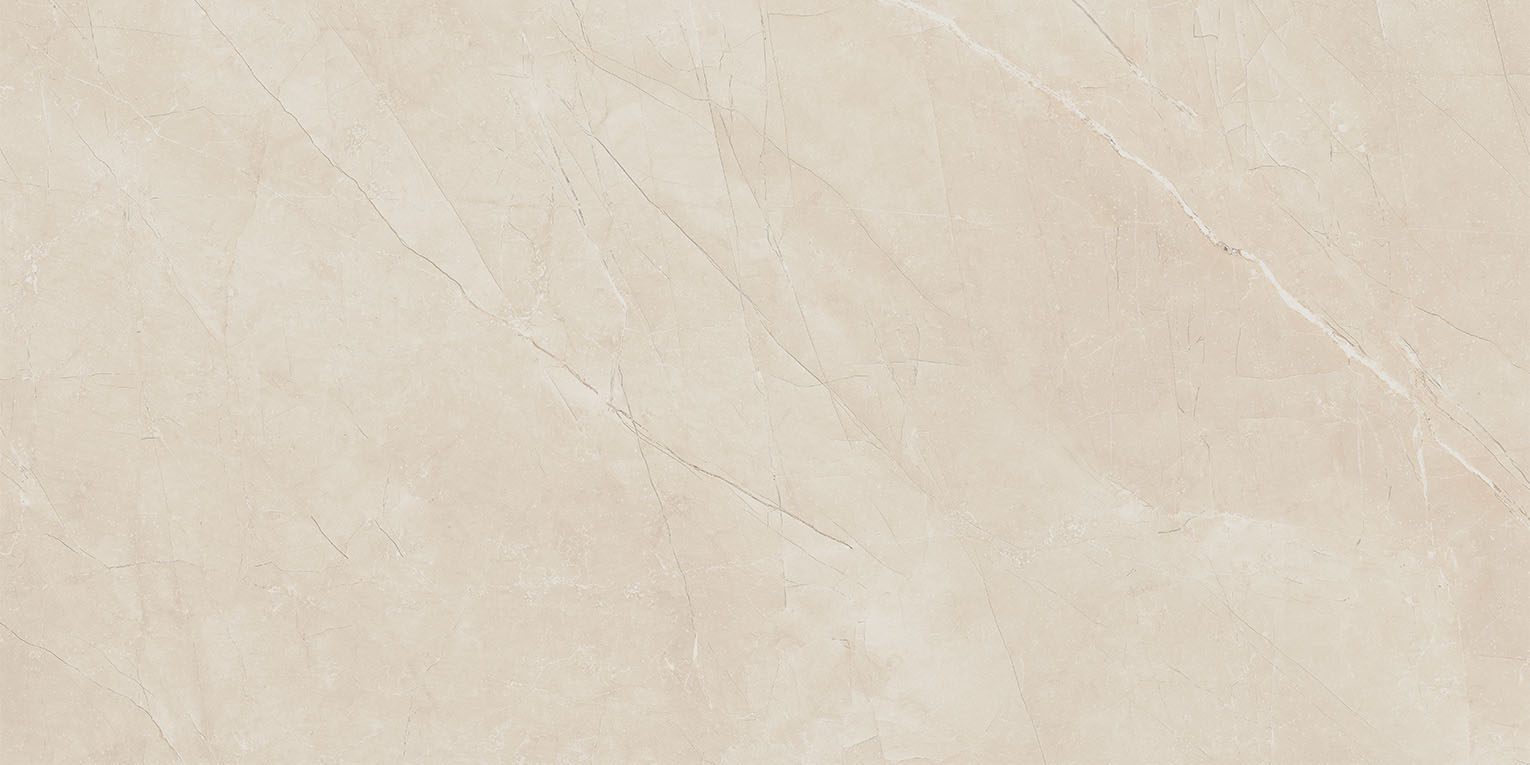 65398 Bianco Nat/Rett 60х120 Cerdomus фото 10