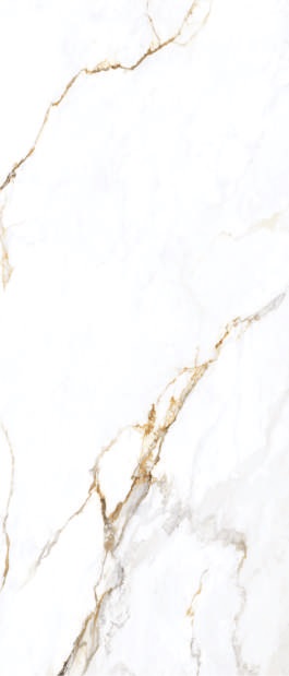 Apollo White Polish 120х280 Maimoon Ceramica