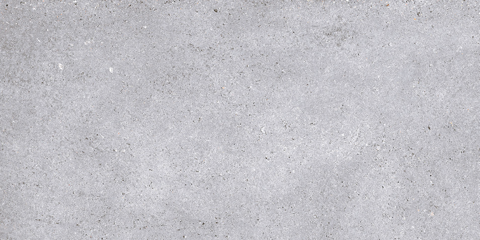 NR211 Nemo Light Grey 60x120 PrimaVera