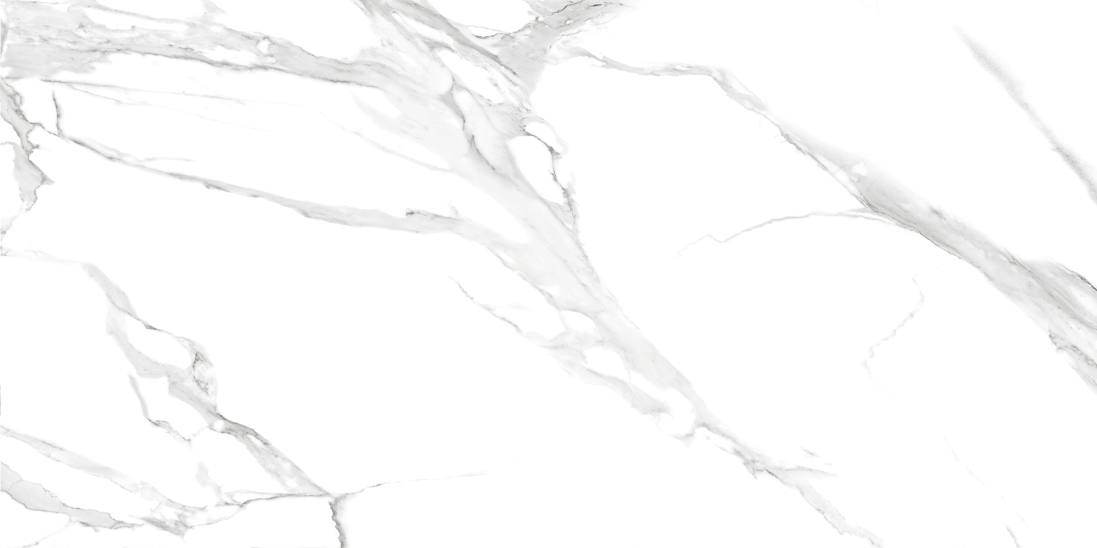 60120CLM15P Calacatta Montreal 60x120 LCM