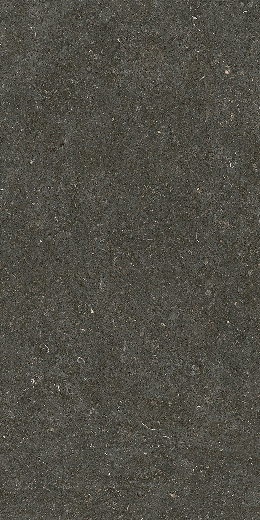 785577 Rinascenza Arena Platino Matte 6mm 60x120 Casa Dolce Casa фото 6