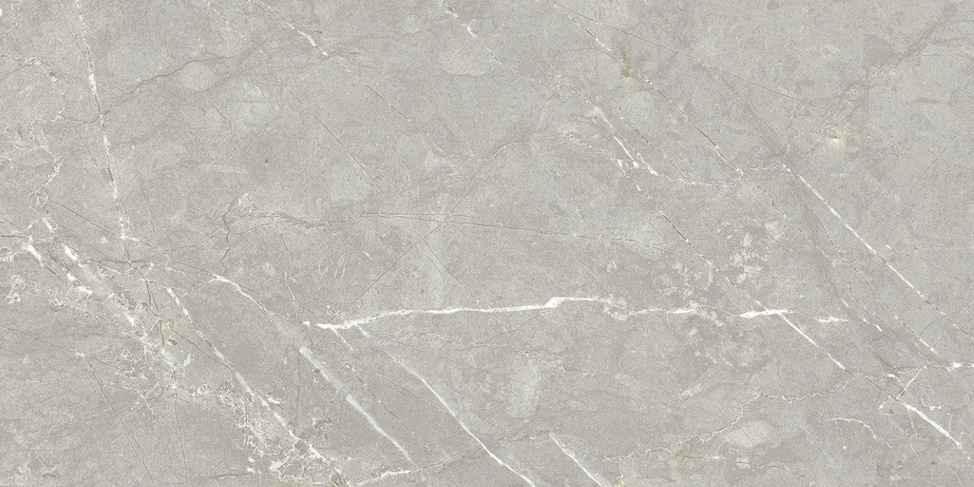 Nevada Grey 60x120 La Platera
