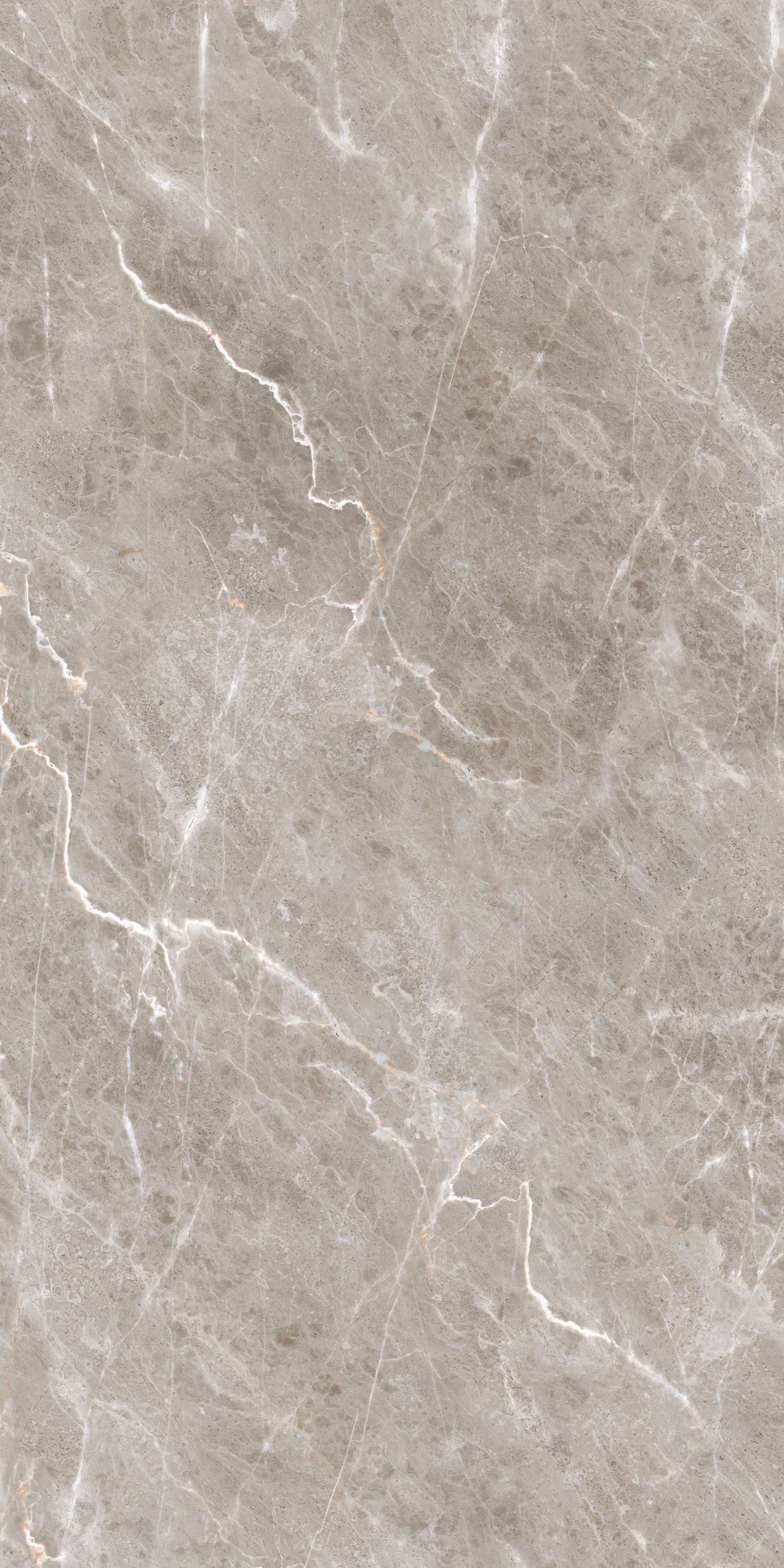 Burgass Brown Carving 60х120 Embito Granito