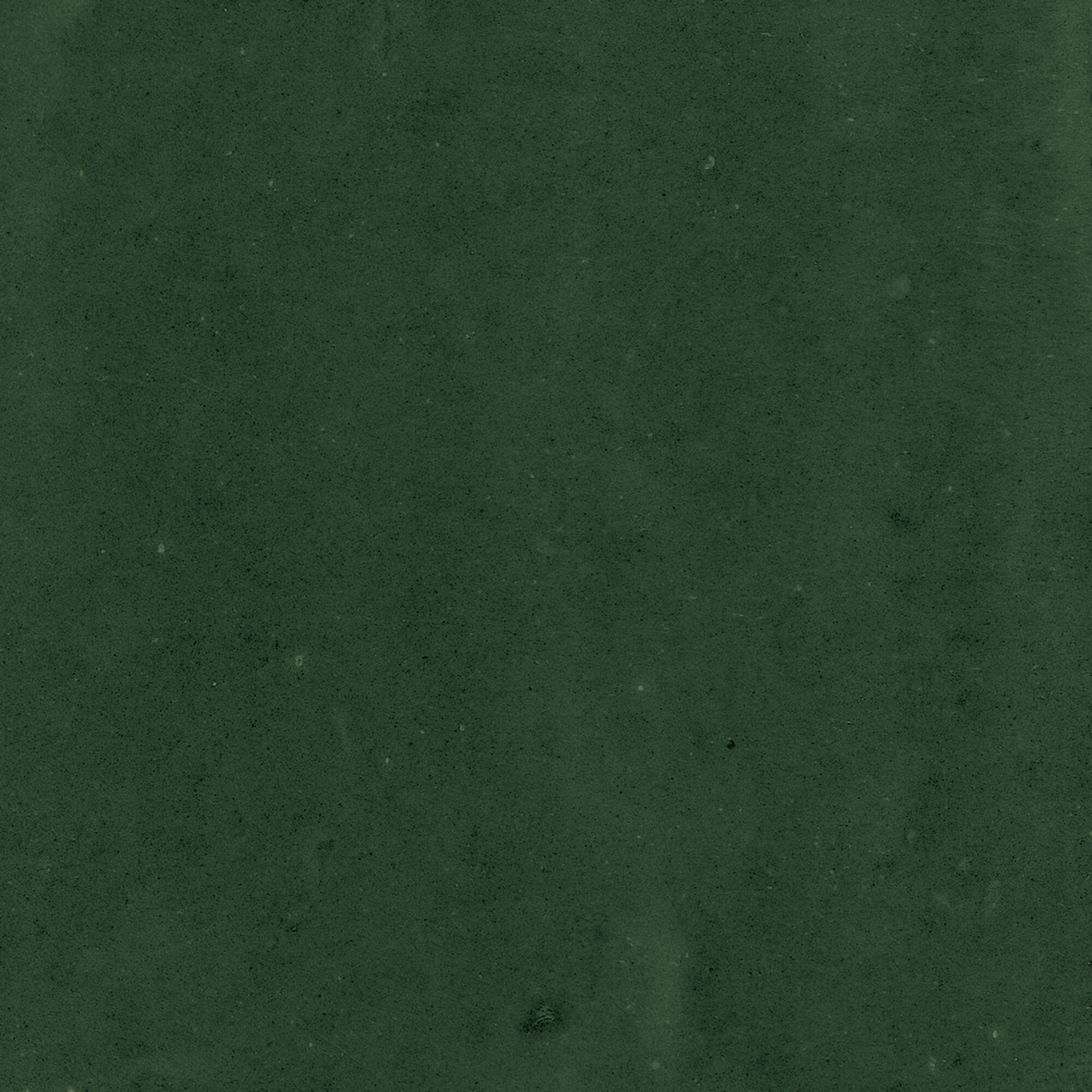 43289 Samira Green 10x10 Harmony фото 21