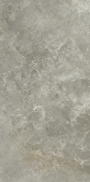 P612574 Fior Di Bosco Soft ret 60x120 Ariostea