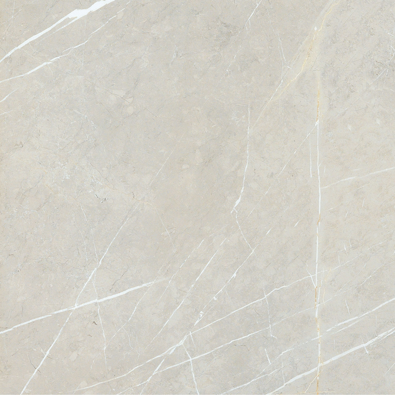 BB6NTT9101P Bright And Shiny 60x60 NT Ceramic