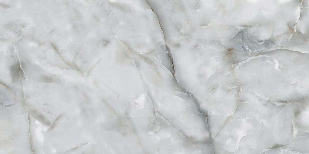 PR228 Marvel Onix Grey Polished 60x120 PrimaVera