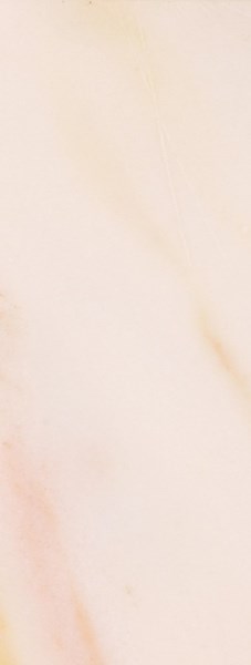 150341 Ньюкасл 15x40 PiezaROSA
