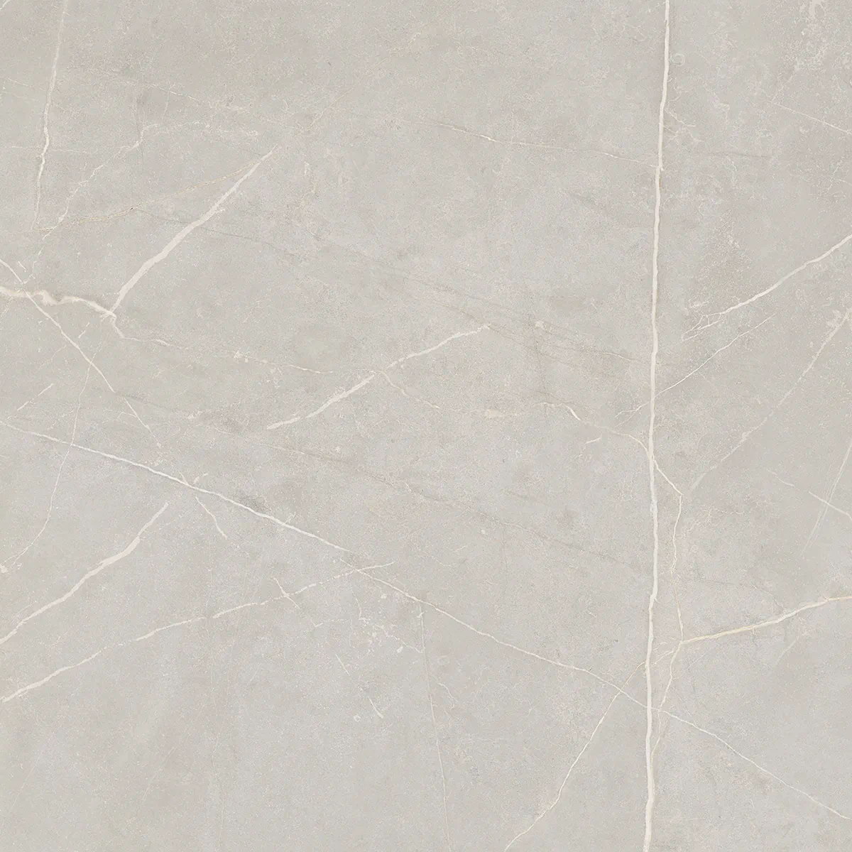 NL02 Nolana Light Grey Полированный 60x60x9  Estima