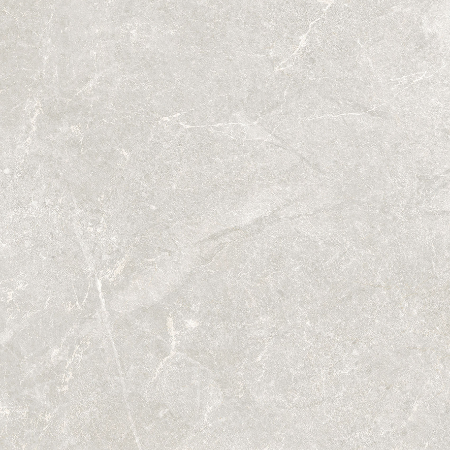 Rocky Bianco PRO светло-серый матовый R10GR 60х60 Laparet