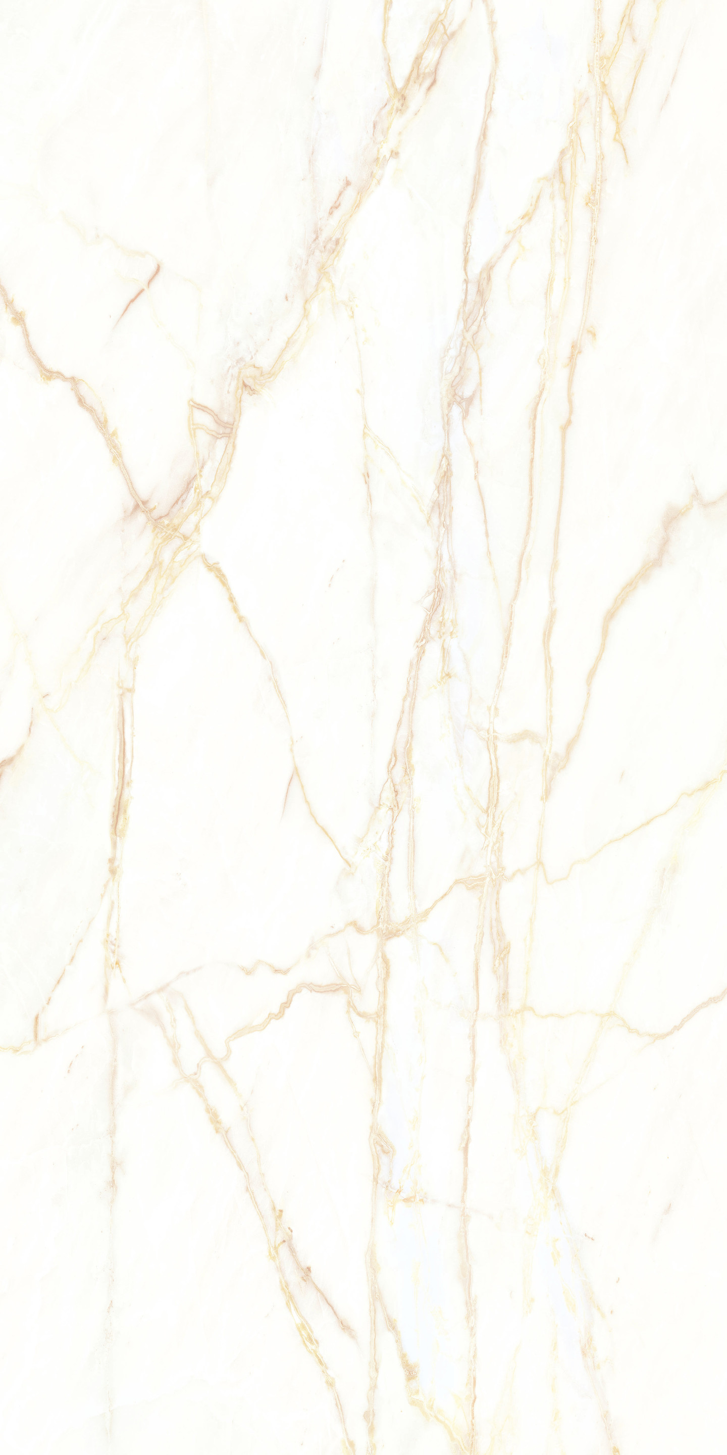 769415 Chimera Empatia Bianco Glossy Ret 6mm 120x240 Cedit