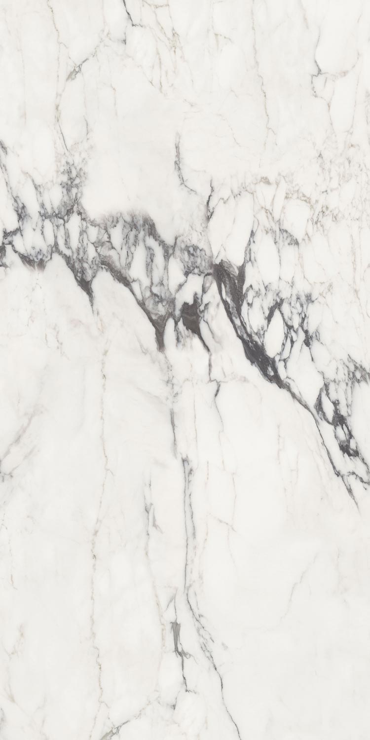 Michelangelo Glossy 90x180 FMAX