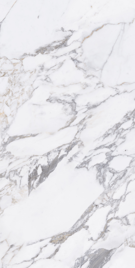 Arabescato Silver Glossy 60x120 Modern Tile