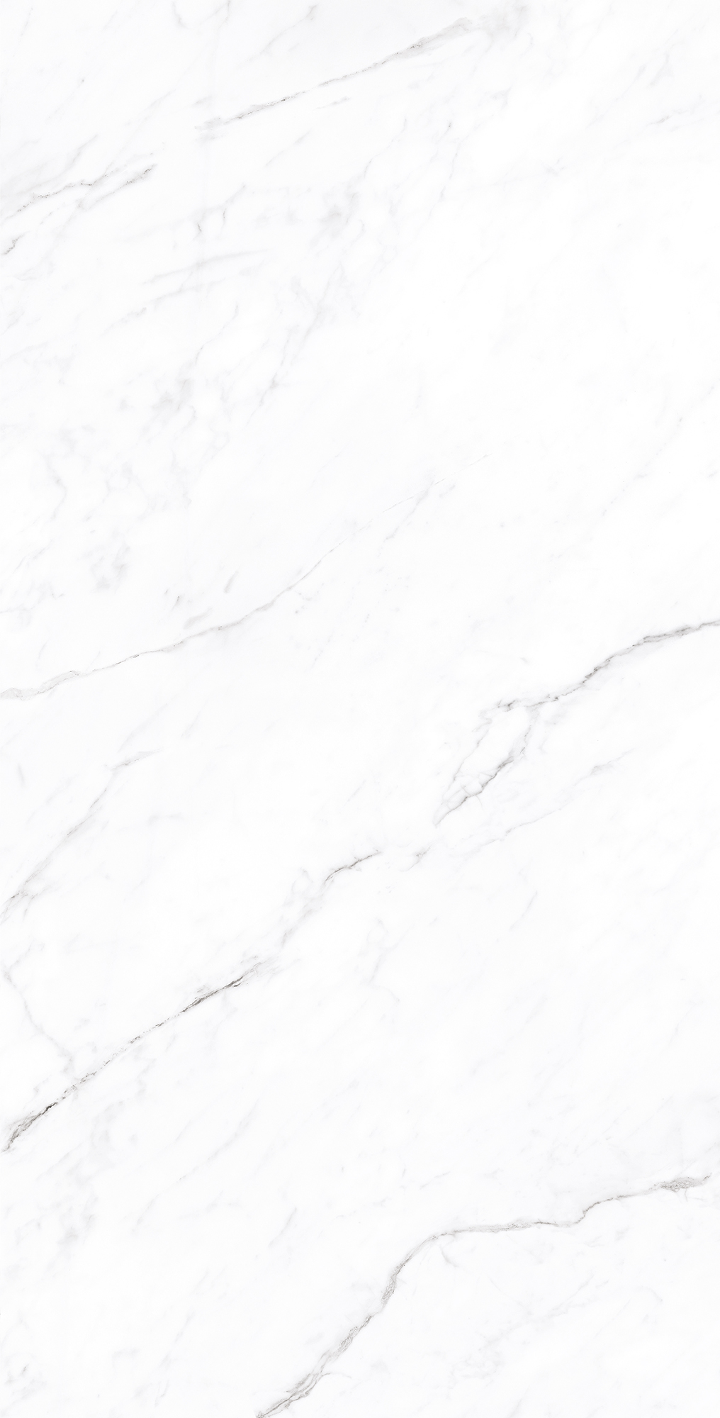CP4003-A Coralina White Carving Pro 60x120 Arcadia Ceramica