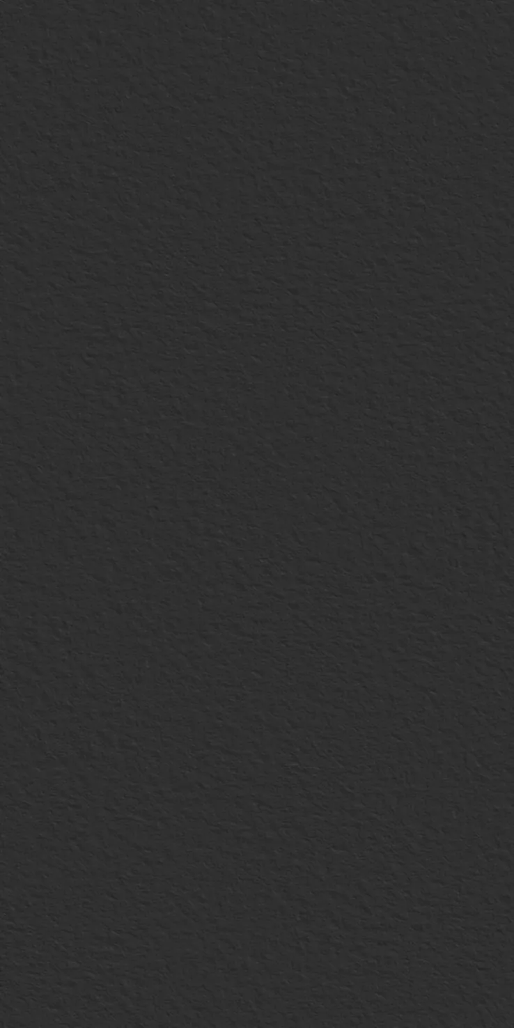 Black Texture 1600х3200х12 StaroSlabs