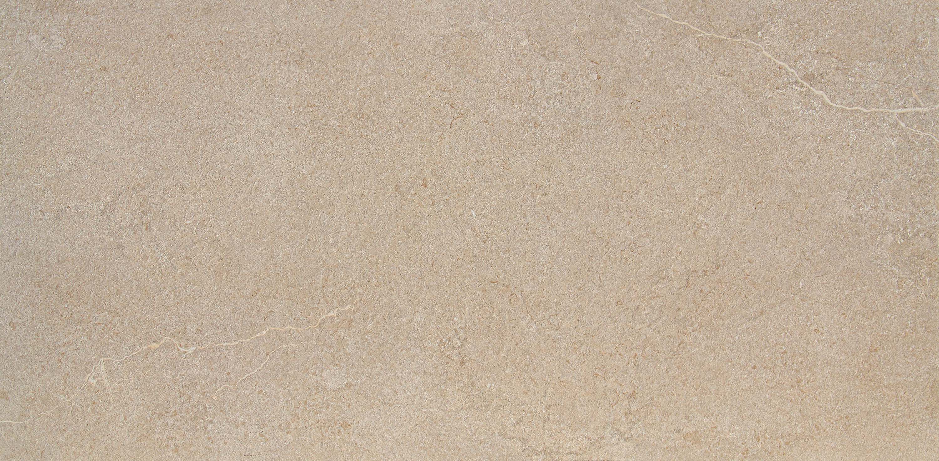 TRSX61292 Бежевый матовая 60x120 CSG