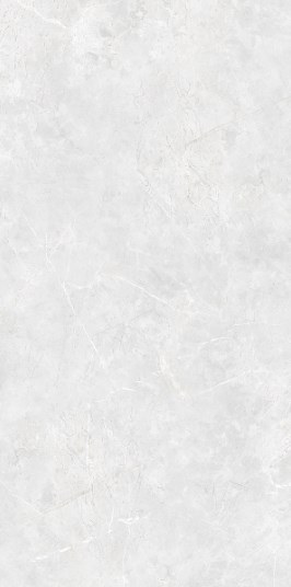 2637 Miracel polish 60x120 Sina Tile