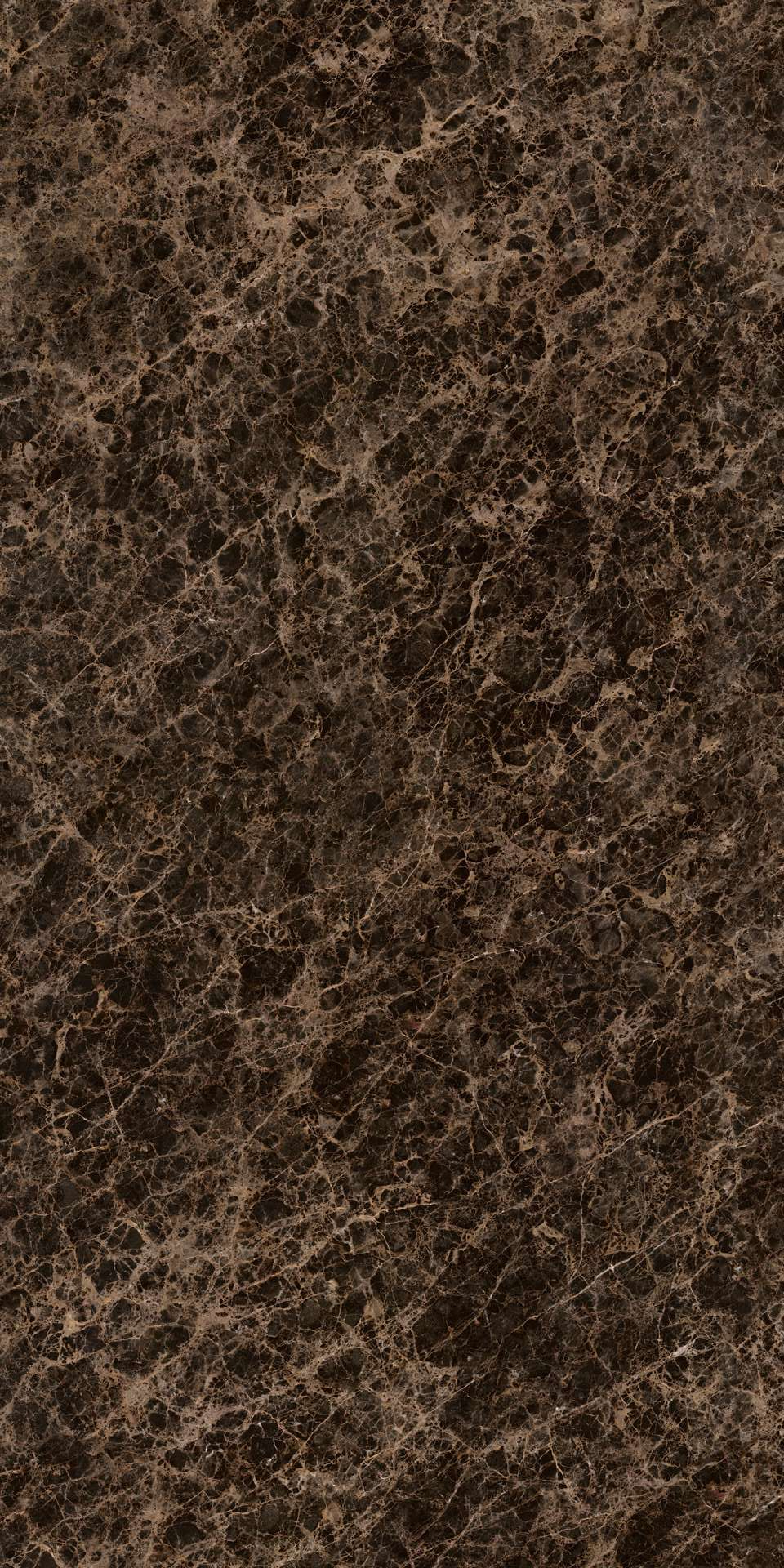 FMAA100U010A2 Emperador Lucido 150x300 IRIS FMG