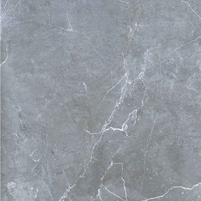 GRS02-16 Petra Northern Silver 60x60 Gresse