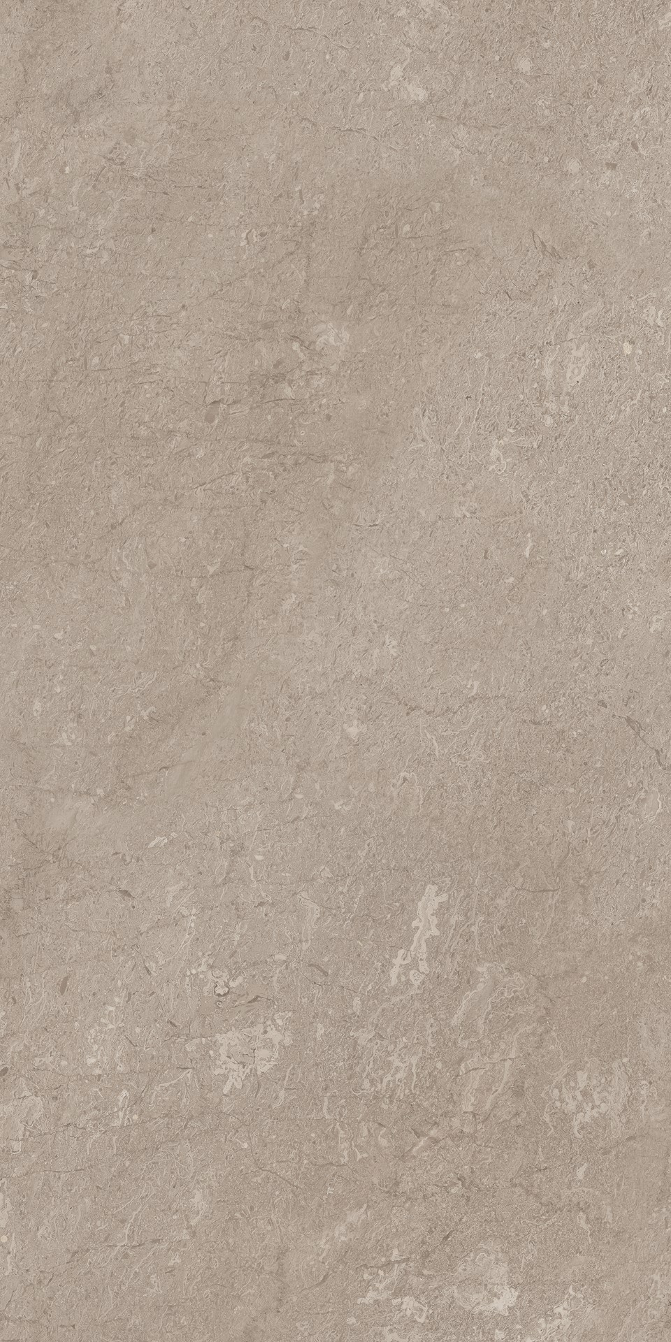 AEM02 Элемента Серый Неполированный Рект 60x120x9 Ametis by Estima