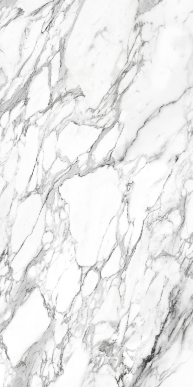 010400001220 Platinum white белый PG 01 60х120 Gracia Ceramica
