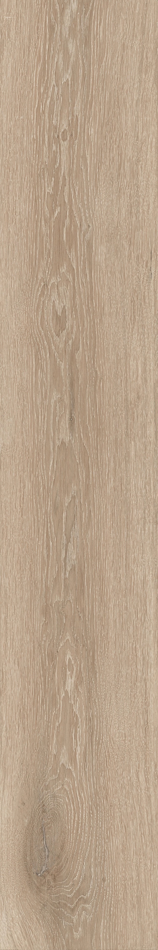 776420 Woodslate Life Champagne Matte Ret 20x120 Cerim
