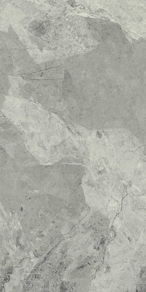 610015000358 Charme Extra Silver Nat Ret 30x60 Italon фото 4