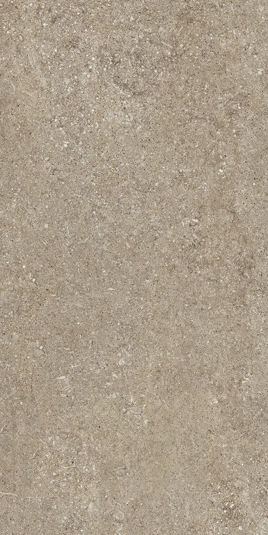 768623 Sensi Taupe Fossil Nat Ret 6mm 60x120 Casa Dolce Casa