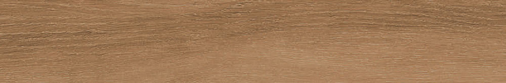 Bremen Sherwood 10x60 Ribesalbes