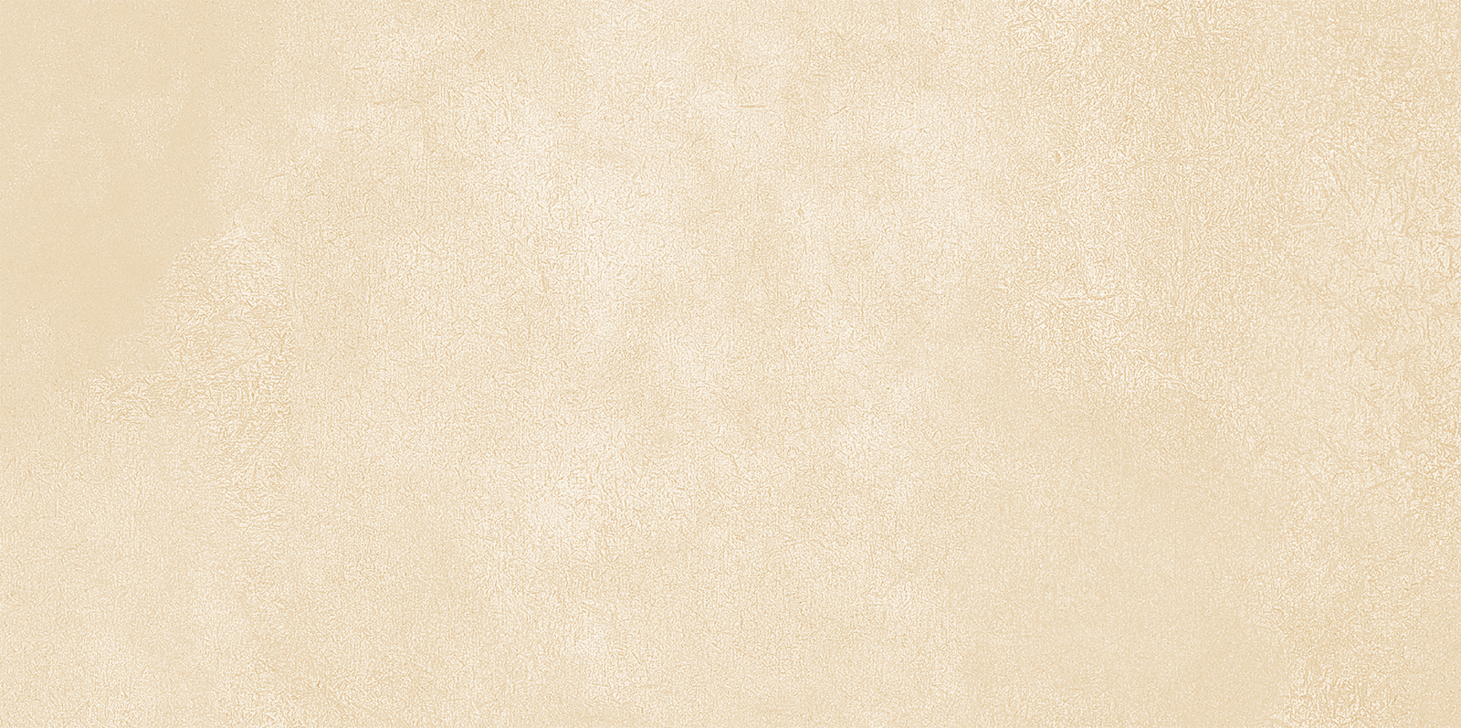 WT9PET11 Petra Beige 24.9х50 AltaCera