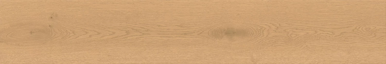 A841 Entice Pale Oak Natural R10 20x120 Atlas Concorde