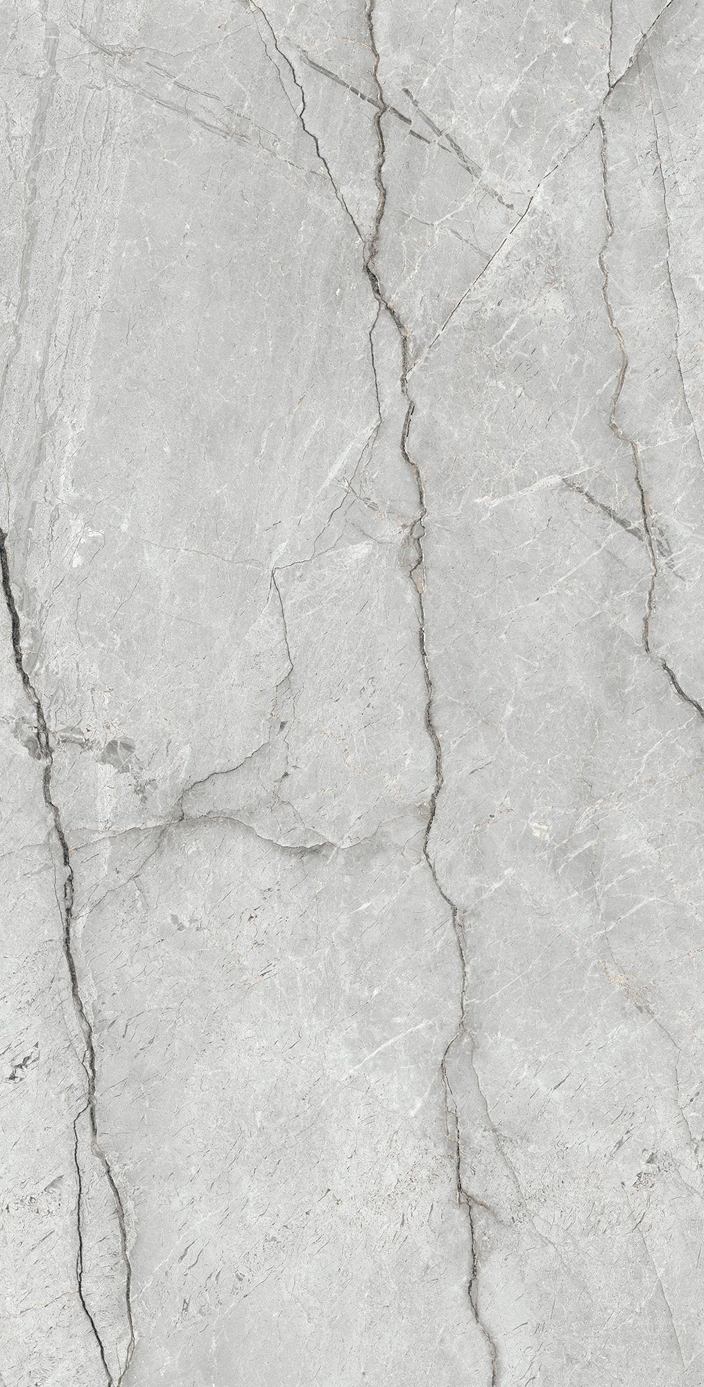 CR4013-A Condor Light Grey Carving 60x120 Arcadia Ceramica