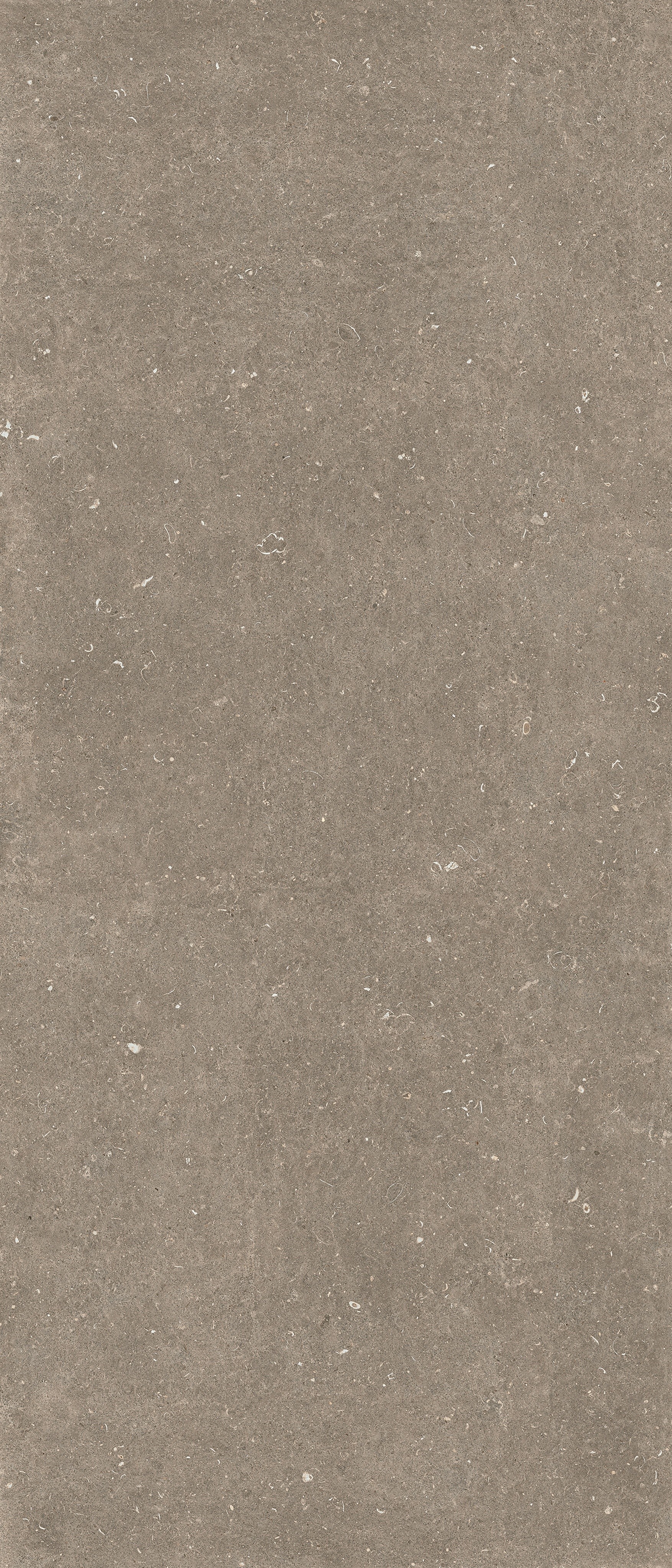 785572 Rinascenza Arena Pietra Matte 6mm 120x280 Casa Dolce Casa