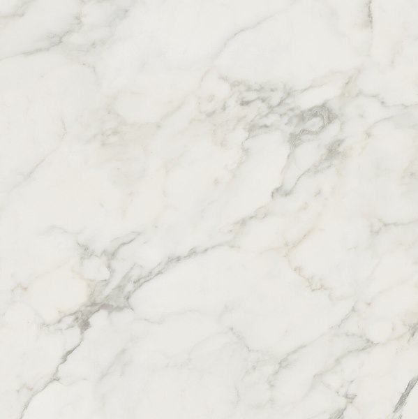 57651 Statuario Lapp.Rett. 80x80 Gardenia Orchidea (Versace)