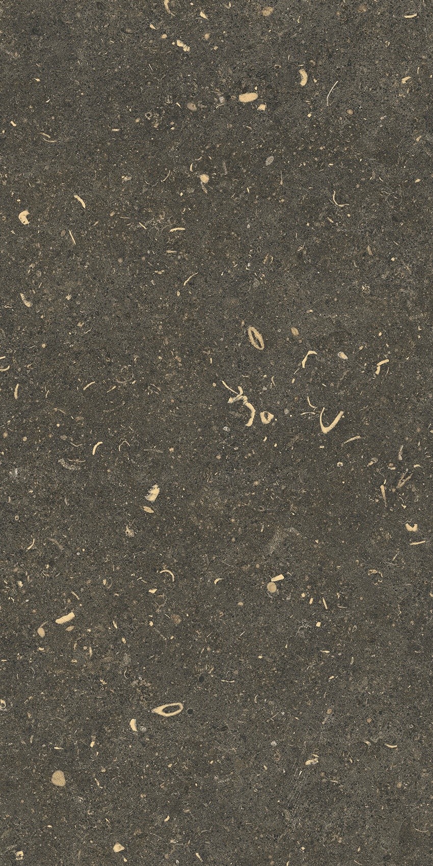 785503 Rinascenza Arena Platino Grip 30x60 Casa Dolce Casa фото 7