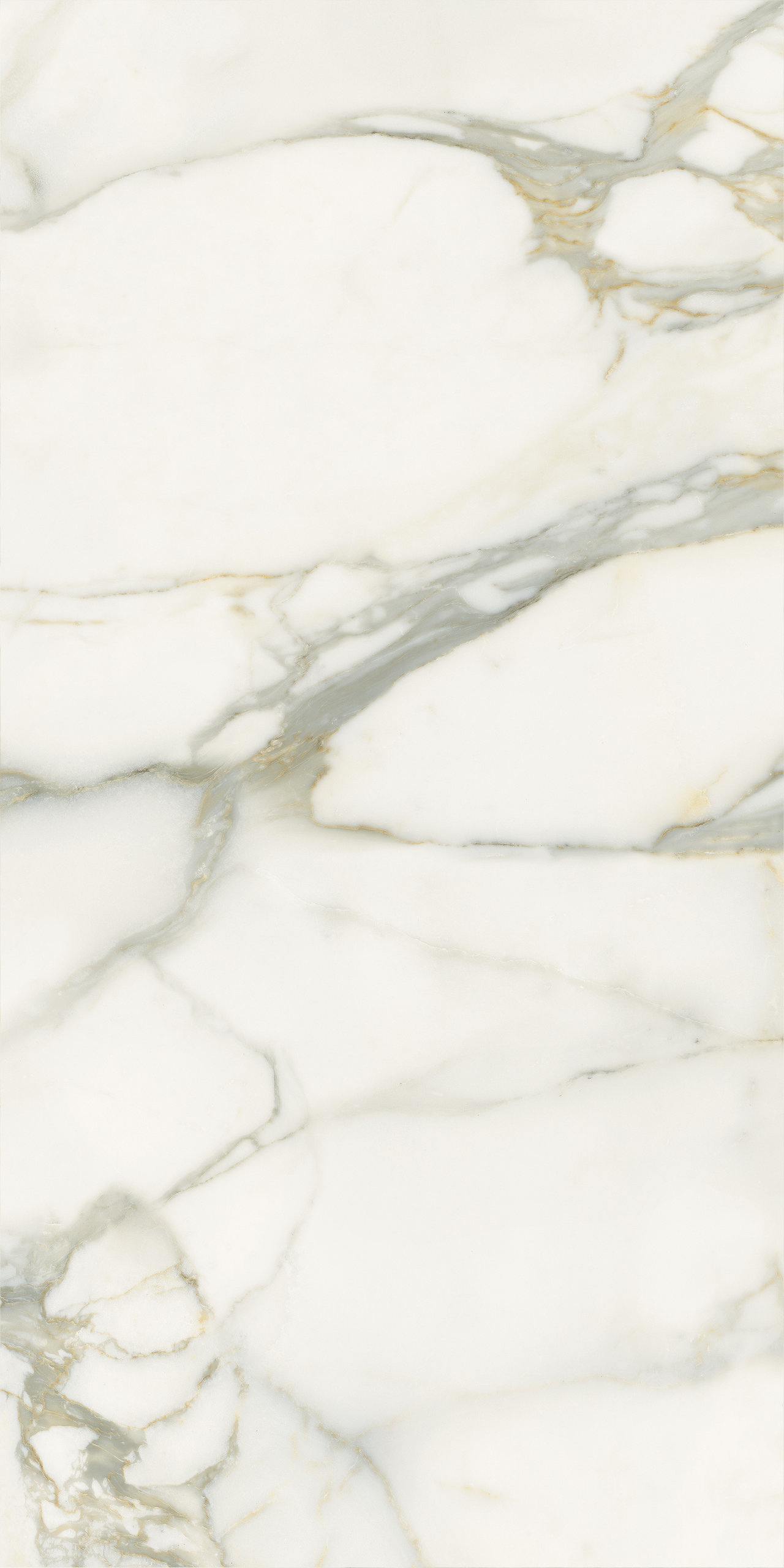 P628365 Calacatta Oro Natural 8mm 60x120 IRIS FMG фото 2