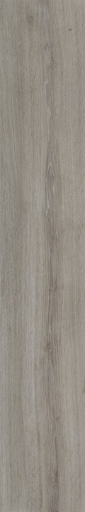 304121 Ikon Alps Rett 20x122 Dado Ceramica