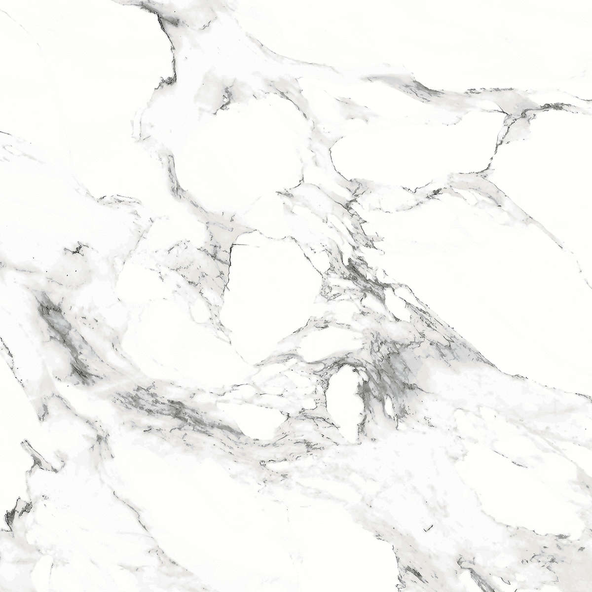 Bianco carrara PGVT 60x60 Casati Ceramica