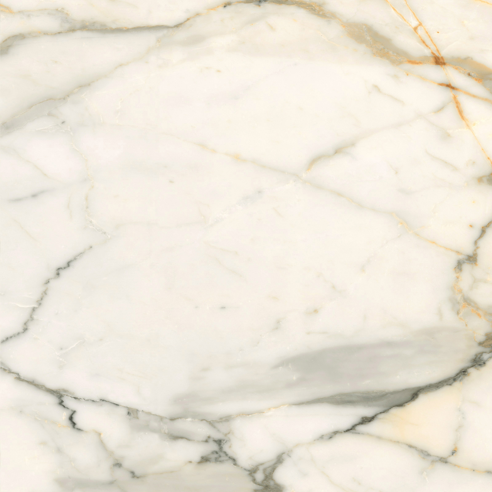 6060CBO55P Calacatta Borghini 60x60 LCM