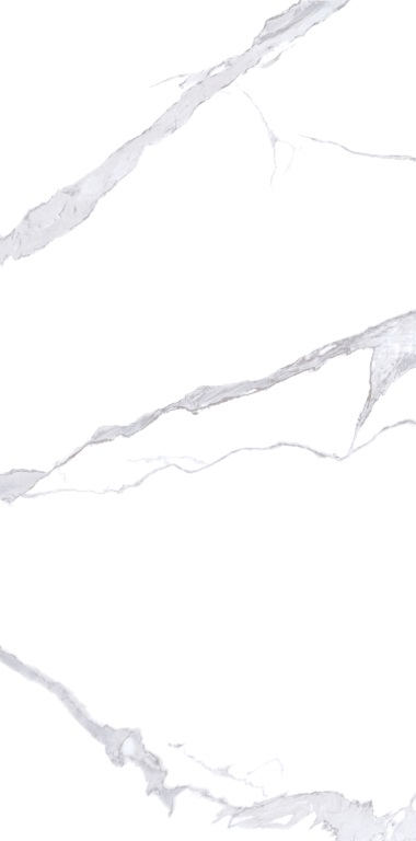 NTT3008P Bianco Statuario 120x240 NT Ceramic