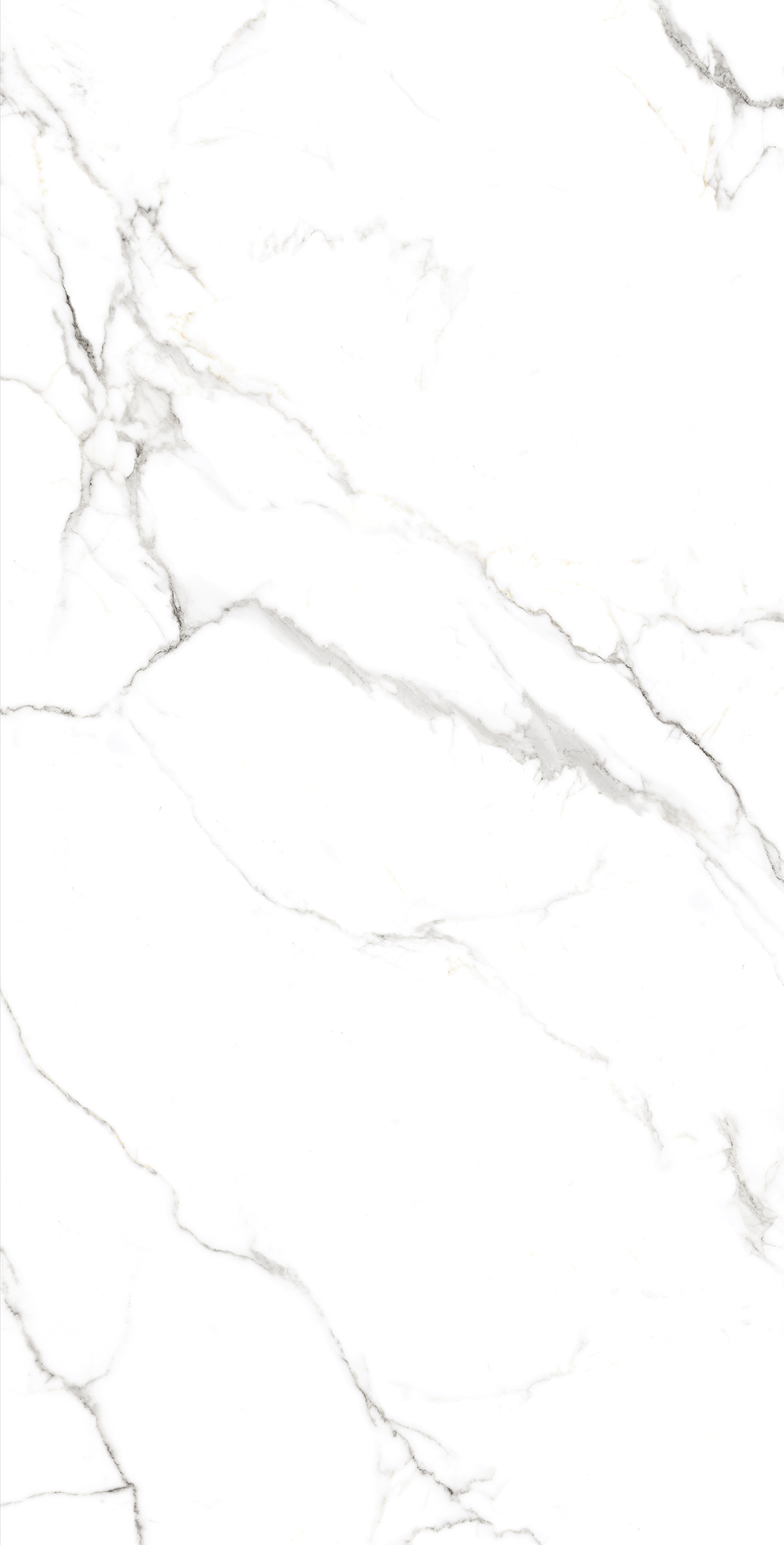 FP1039-A Statuario Fine Full Polished 60x120 Arcadia Ceramica