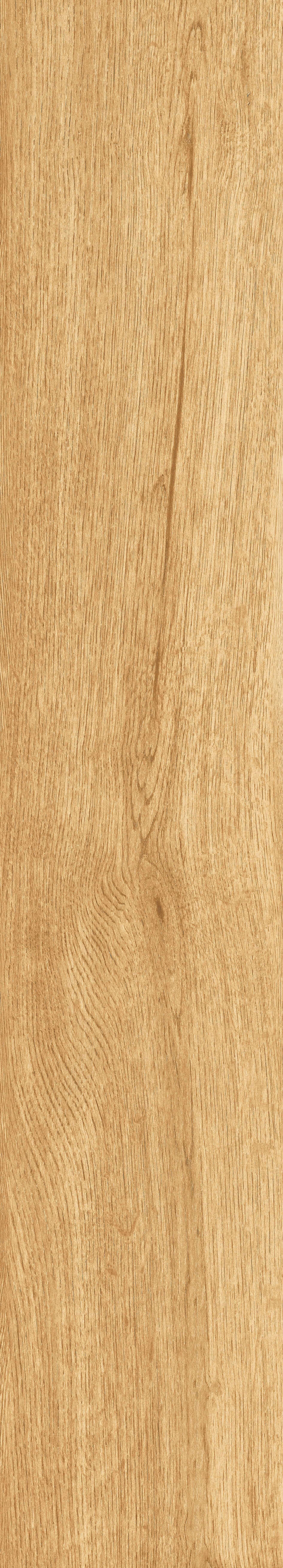 1064 Parma Honey Mate 120x20 Artcer