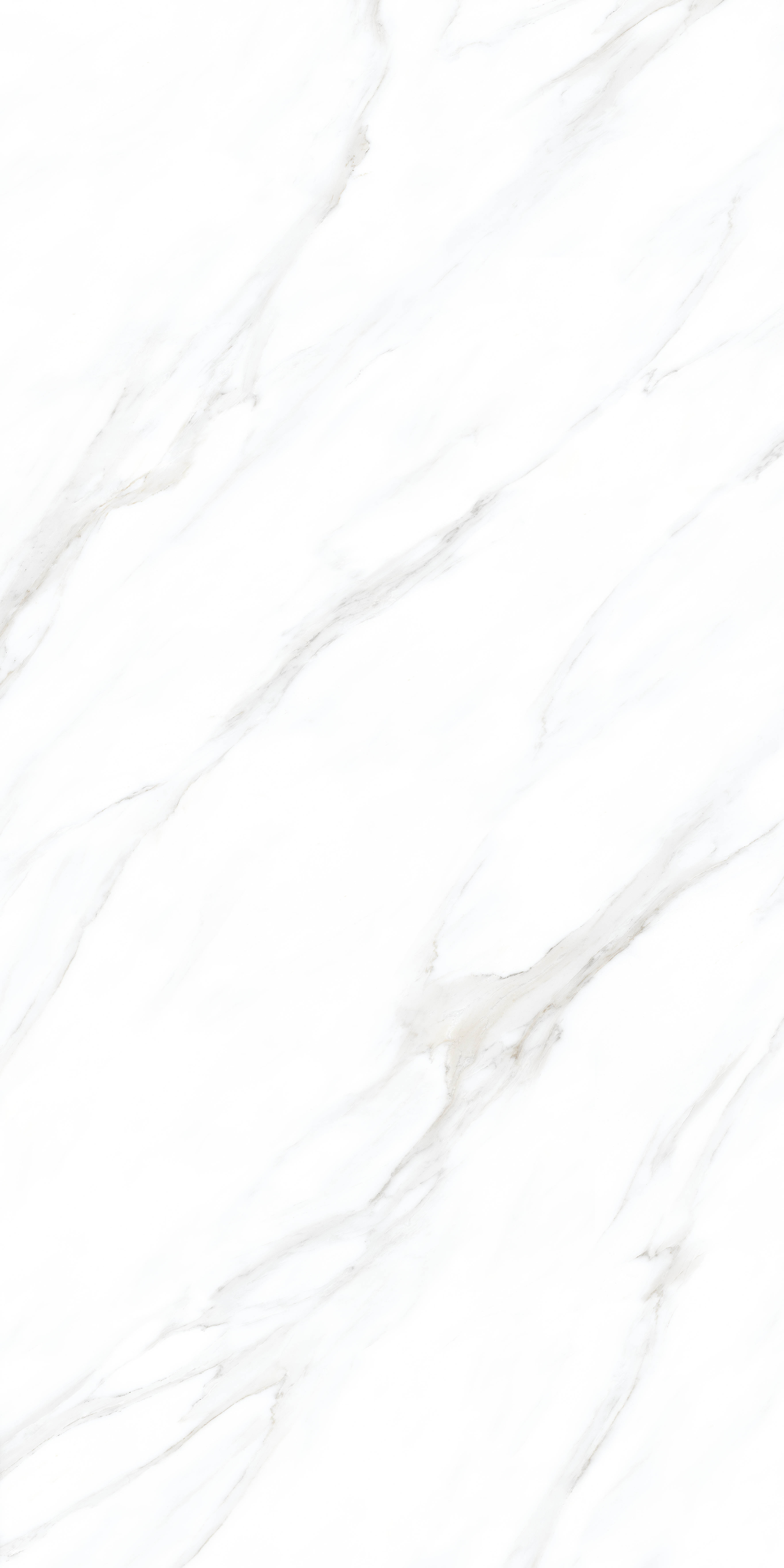 Antic White carving 60x120 Realistik