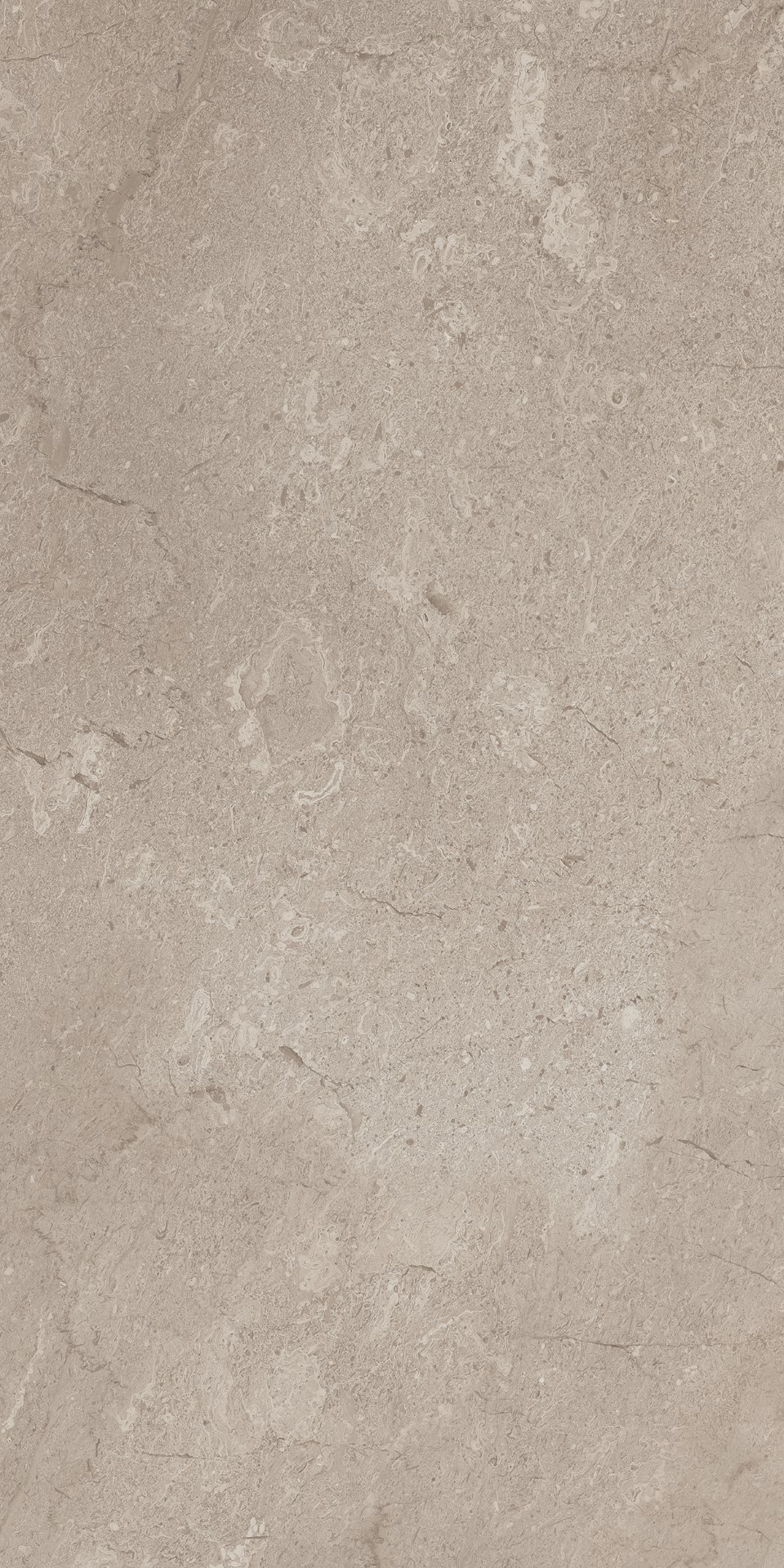 AEM02 Элемента Серый Неполированный Рект 60x120x9 Ametis by Estima фото 10