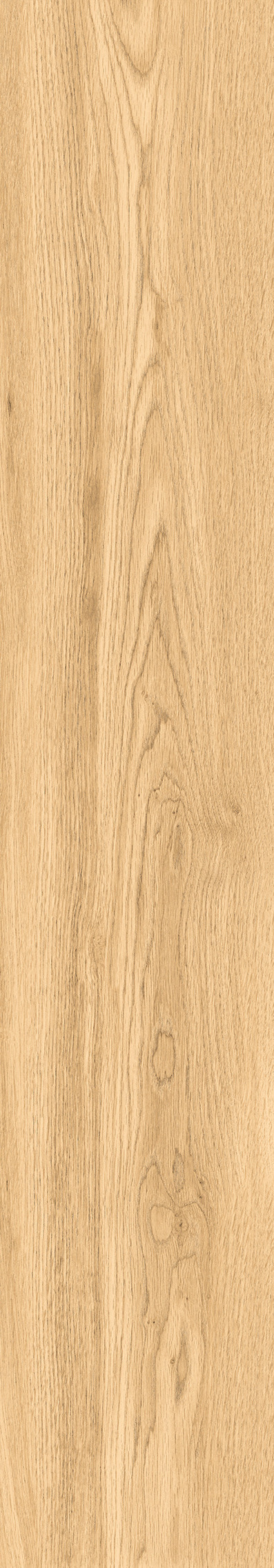 1108 Modena Honey Mate 120x20 Artcer