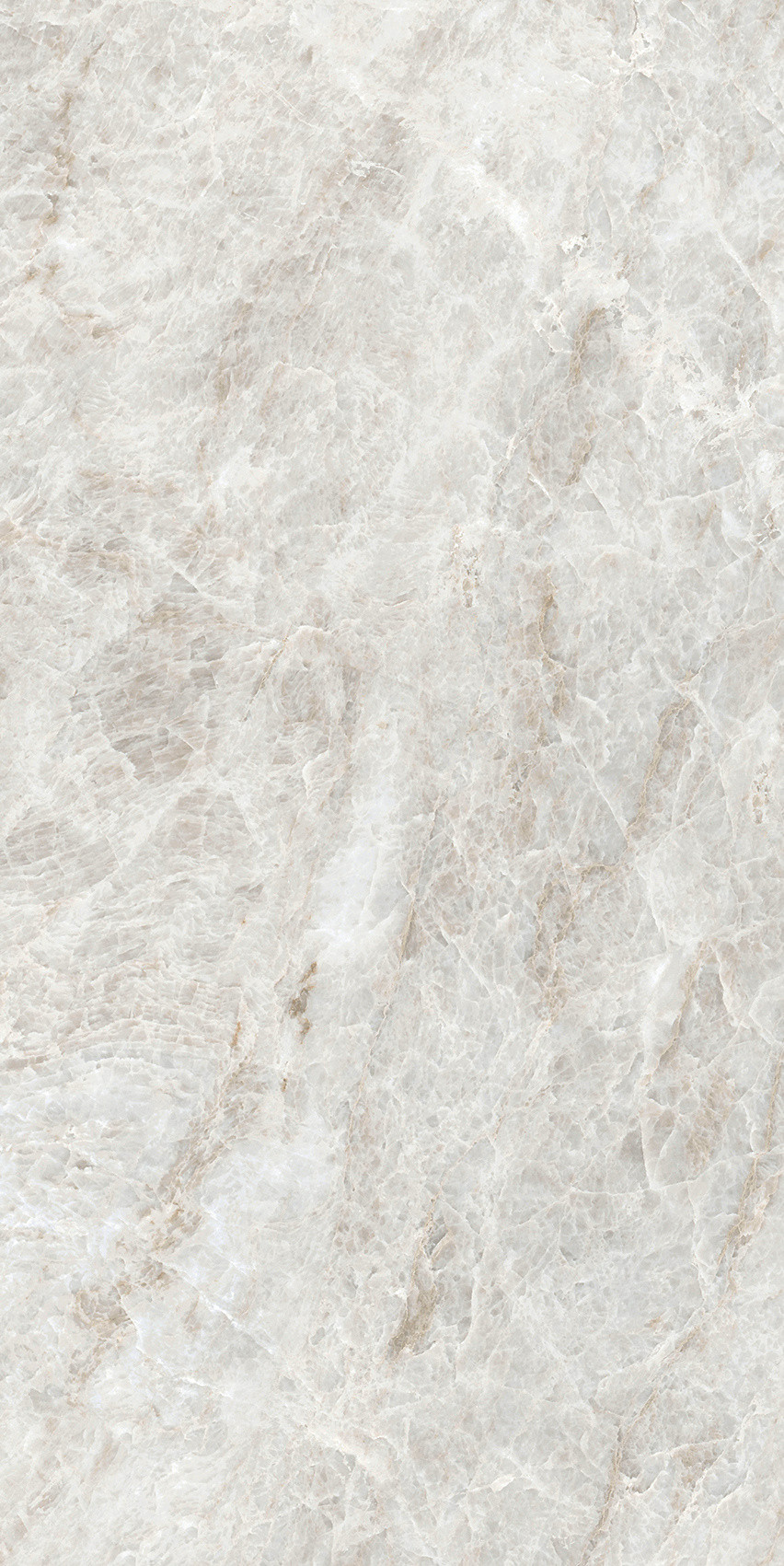 784553 Iconic Life Rice Yamuna Glossy 30x60 Cerim фото 12