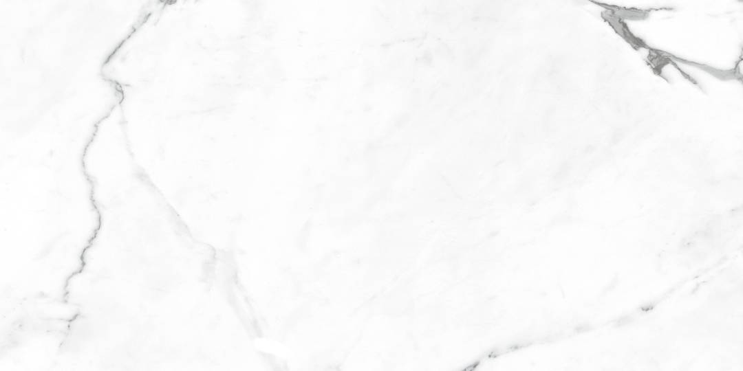 NR235 Dalim White Матовый 60x120 PrimaVera