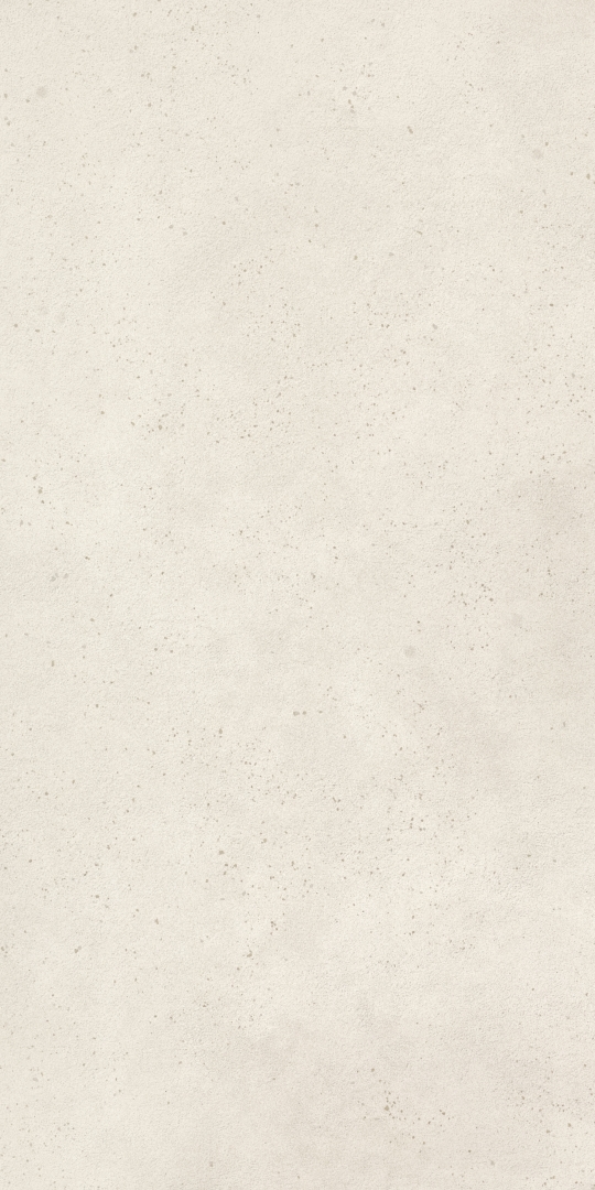 REPLAY 12WX SK 60x120 Imola Ceramica