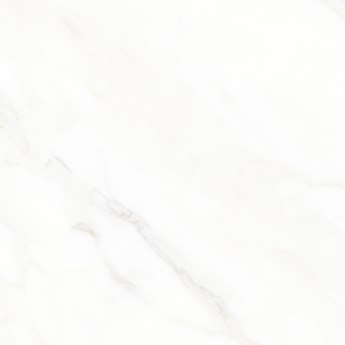 Calacatta Michael белый матовый 60х60 Laparet